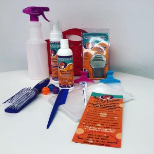 In home Head Lice removal kit